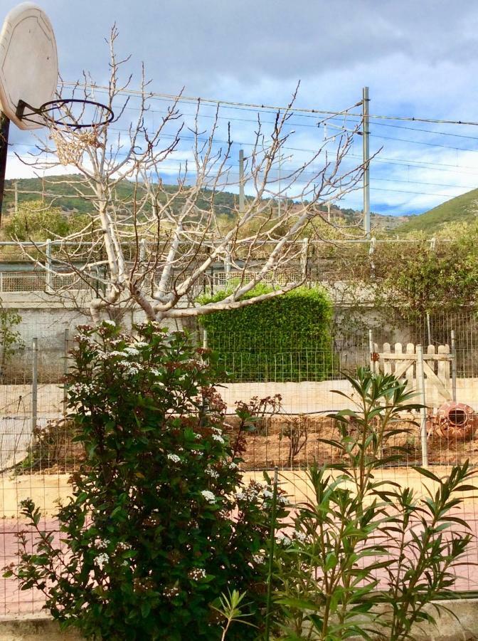 Sea View Countryside Home Near Athens Ngoại thất bức ảnh